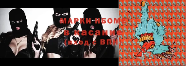 прущие грибы Гвардейск
