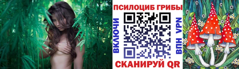 Галлюциногенные грибы Magic Shrooms Дигора