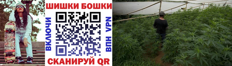 купить  цена  Дигора  МАРИХУАНА LSD WEED 